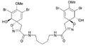 Homoaerothinine
