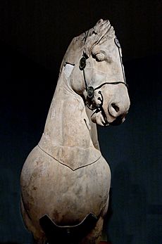 Archivo:Horse Halicarnassus BM 1002