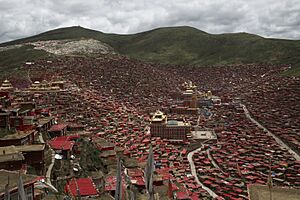 Archivo:Larung Gar Five Sciences Buddhist Academy 2014 (14660043083)