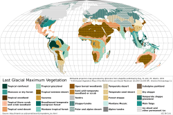 Archivo:Last Glacial Maximum Vegetation Map