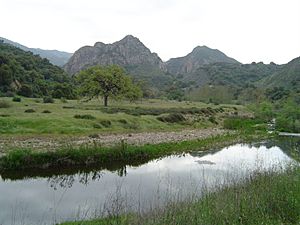 Archivo:Malibu creek1