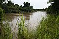 Mekrou river in W-National Park MS 6380