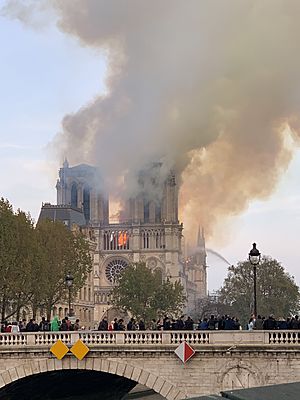Archivo:Notre-Dame dePAris Burning 20190415-06