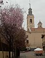 Nuestra Señora de la Inmaculada en 2021