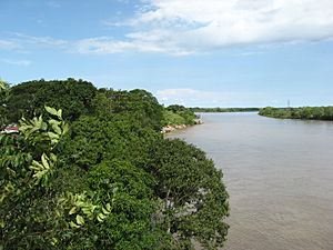 Archivo:Panoramica rio meta-Cabuyaro Meta