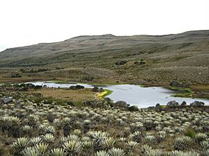 Archivo:Paramo zumapas
