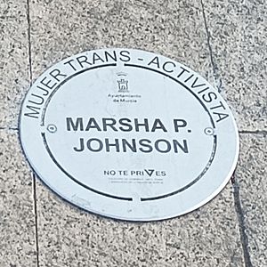 Archivo:Plaza de la Diversidad de la Ciudad de Murcia - Placa 6 - Marsha P. Johnson (cropped)