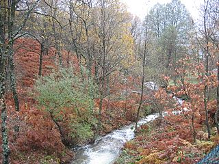 Río Guadalix Madrid.jpg