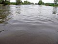 Saale bei Leissling