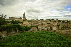 Saint Émilion Wine Country.jpg