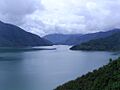 Salvajina