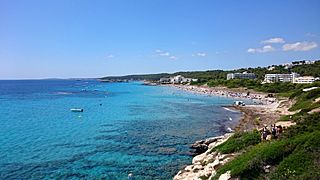 Sant Tomàs (2 de agosto de 2015, es Migjorn Gran).jpg