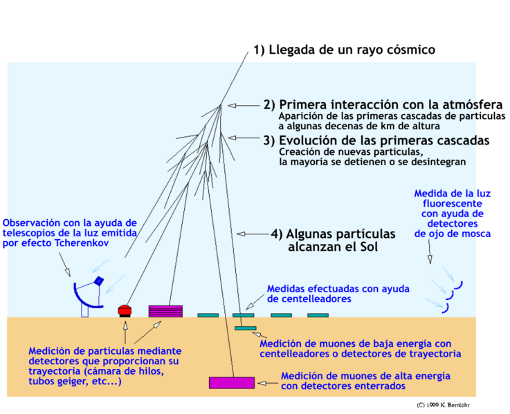 Shower detection-es