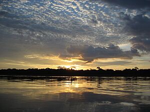 Archivo:Sunrise on the Congo River - 2