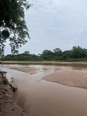 Archivo:Surutú River in Buena Vista, Bolivia