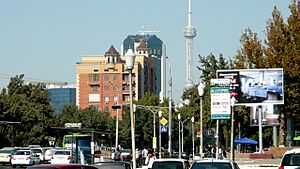 Archivo:Tashkent Downtown