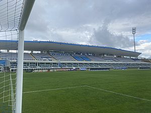 Archivo:The Mario Rigamonti stadium in 2020