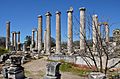 The Temple of Aphrodite, built in the Ionic order in stages during the Roman period (from 1st century BC to 2nd century AD) and later converted into a Christian basilica, Aphrodisias, Caria, Turkey (20487630885)