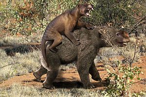 Archivo:Thylacoleo vs Diprotodon