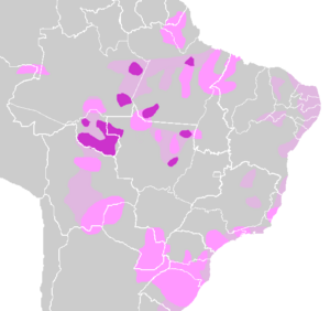 Archivo:Tupi languages