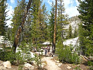 Archivo:Typical high Sierra terrain along the Forsyth Trail. - panoramio
