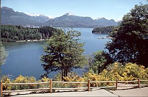 Archivo:Vista del Lago Nahuel Huapi