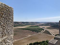 Vistas de Peñafiel desde el Castillo de Peñafiel hacia viñedos