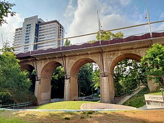 12 Pont del Passeig i Mútua de Terrassa, des del parc de Vallparadís.jpg