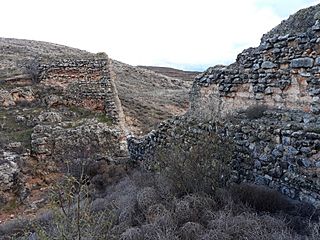 20190128 174635 Presa.jpg