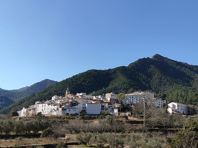 Aín 17