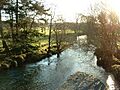 Afon Dwyfor - geograph.org.uk - 90520