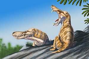 Archivo:Alopecognathus angusticeps DB