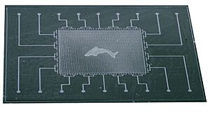 Archivo:Artificial skin