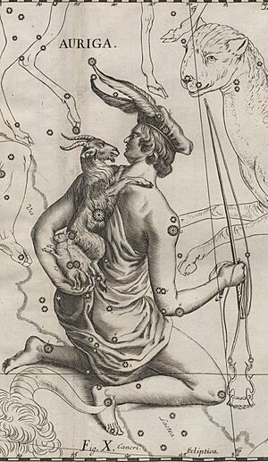 Archivo:Auriga - Prodromus astronomiae 1690 (5590407) (cropped)