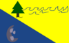 Bandera del Balneario Pehuen-Có.png