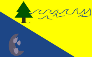 Archivo:Bandera del Balneario Pehuen-Có