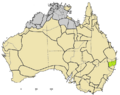 Bandjalangic languages