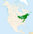 Betula alleghaniensis range map