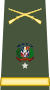 Capona General de Brigada Ejercito Nacional.svg