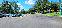 Carretera PR-156, Caguas, Puerto Rico (2).jpg