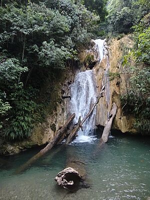 Archivo:Cascada Cerro San Gil