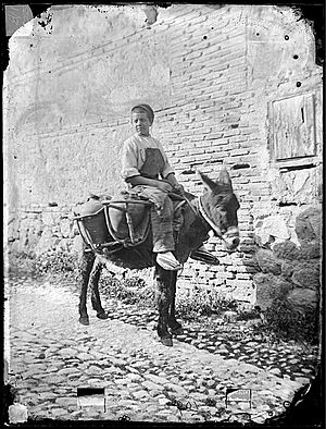 Archivo:Casiano Alguacil - Joven azacan - ca. 1880 Archivo Municipal de Toledo