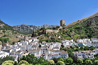 Cazorla - 008 (30701366896).jpg