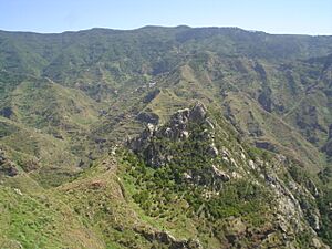 Archivo:Chinamada-Roque los Pinos