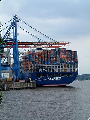 Archivo:Cma.cgm.mozart.wmt