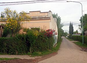 Archivo:Cortines 02