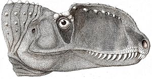 Archivo:Dilophosaurus sinensis (head)