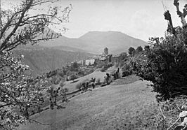 El poble de San Martin de Veri en un vessant amb vegetació en primer terme (cropped).jpeg