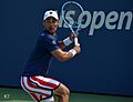 Fabio Fognini (31484352477)