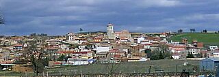 Fuentelisendo 2010.JPG